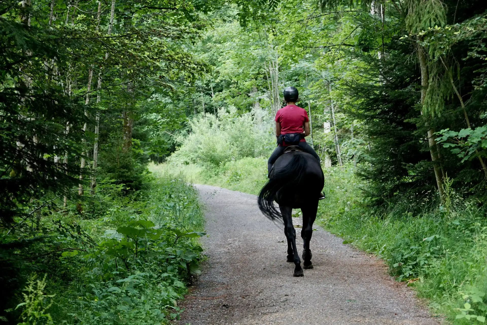 Horseback riding in a forest