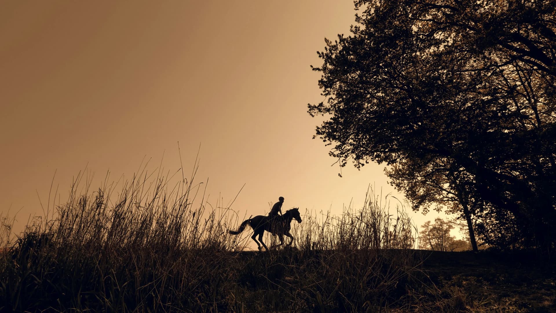 Horseback riding date during sunset