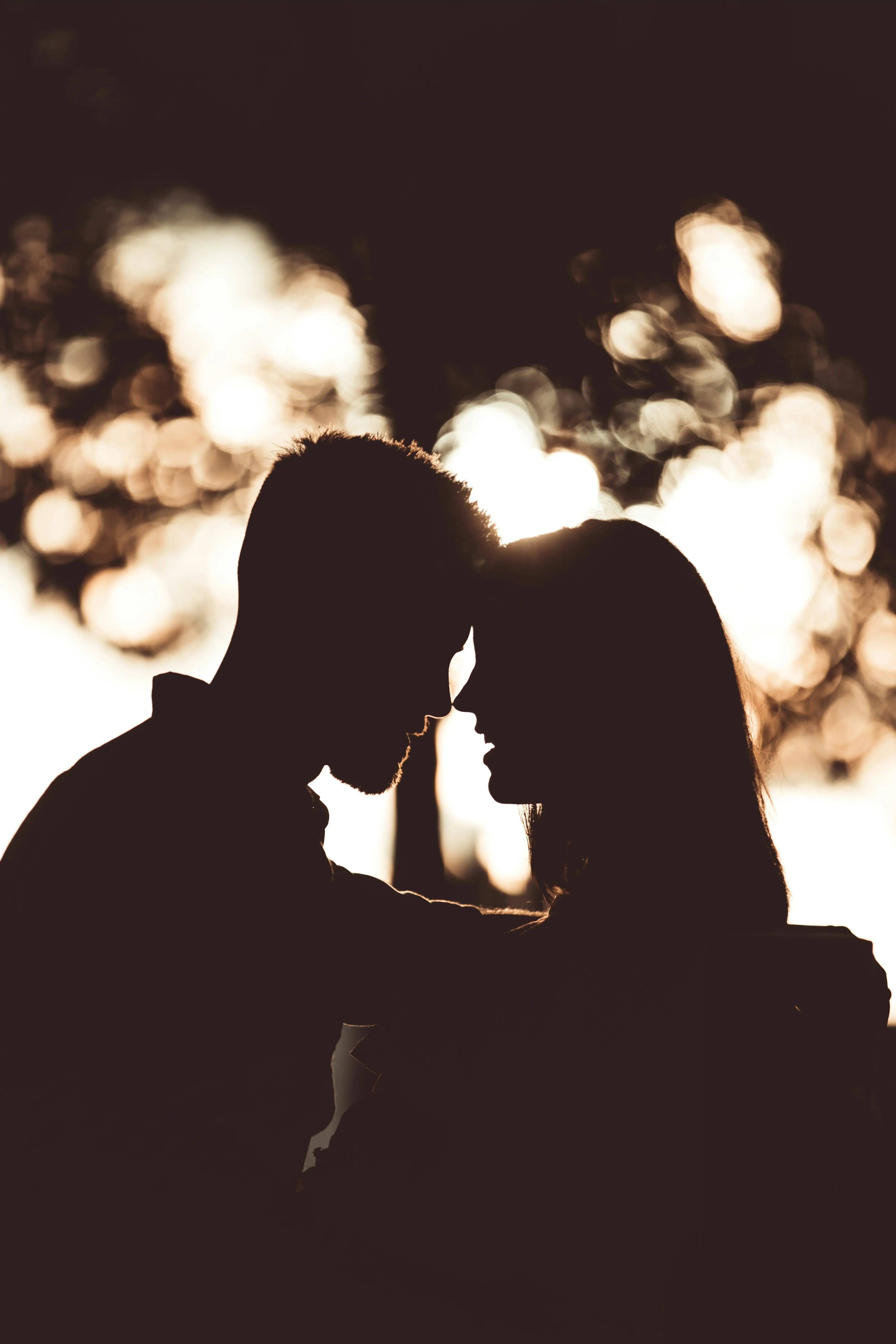 Couple silhouette under a tree with bokeh lights