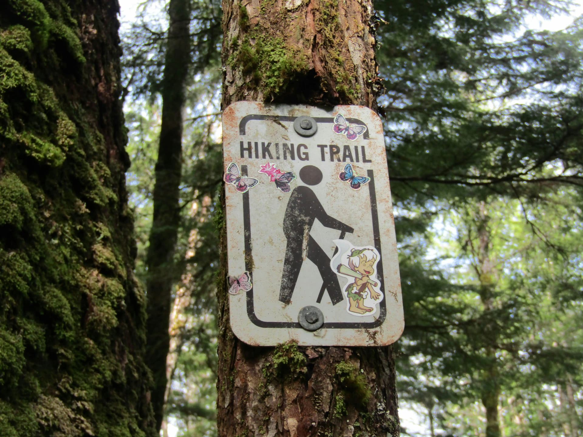 Trail sign on a hiking path