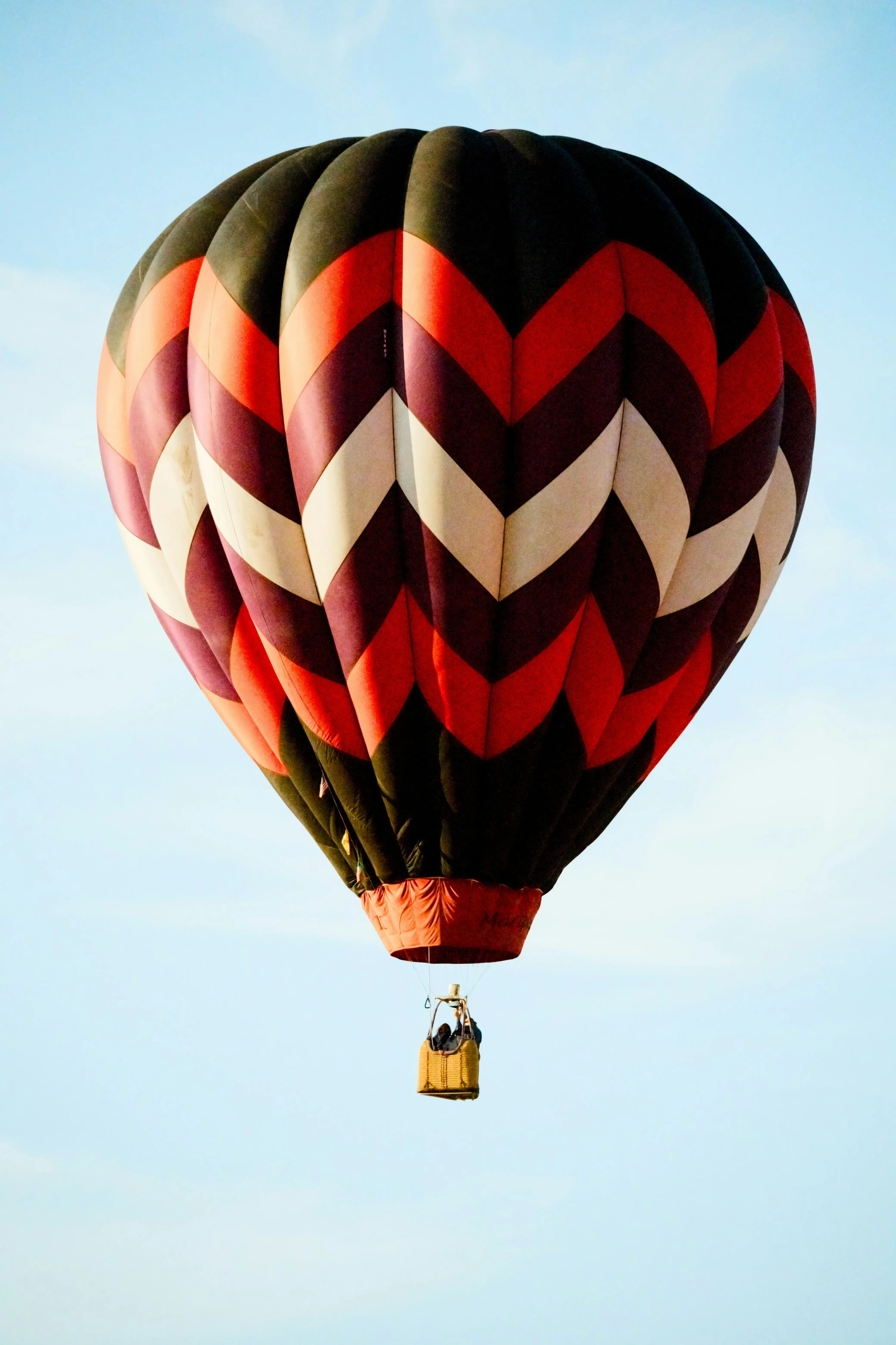 Hot air balloon floating over scenic countryside